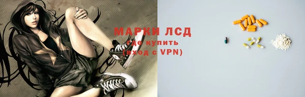 сатива Алзамай